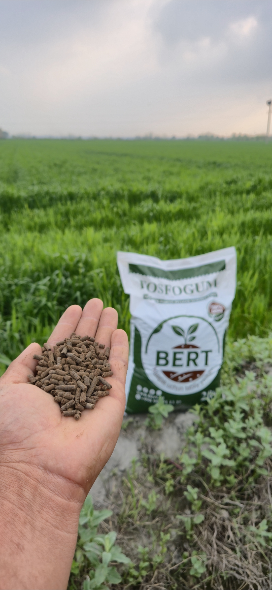 BERT AGRO — 2-rasm